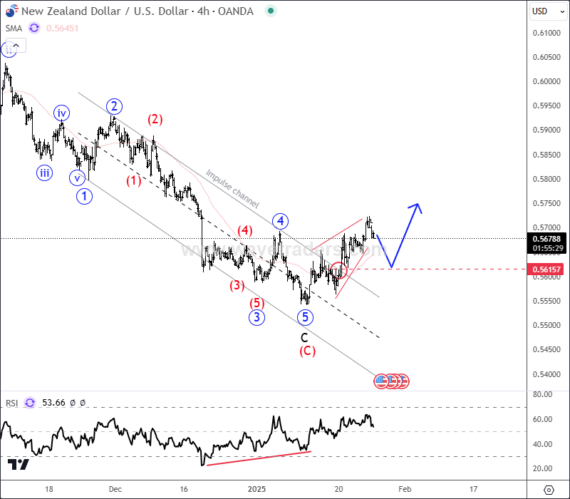 The Kiwi Is Waking Up From The Strong Support NZDUSD 4H Chart